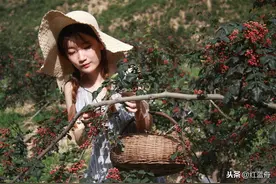 故事：梅子（小小说）图片