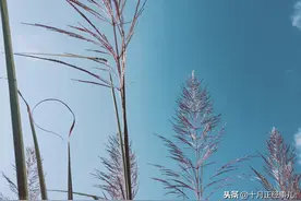 湛江吴川有哪些禁忌？吴川人：不能说小孩长得“像母亲”图片