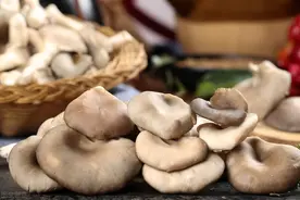 「种植微课堂」作物平菇的栽培技术（五）图片