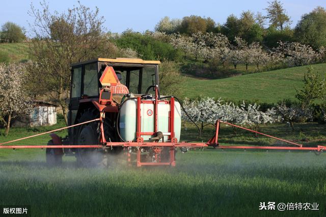 氨基酸和腐植酸肥料到底有什么好，身边怎么越来越多的人在用