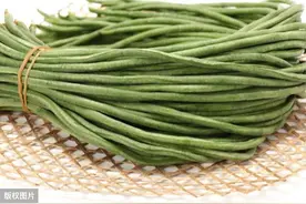 如何提高大棚豆角品质与产量图片