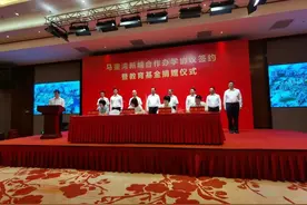 定了！一中、双十、外国语签约落户马銮湾！世界级旅游岛项目来了图片