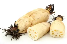 莲藕的繁殖方法有哪些？以下4种方法很好用，农民看看图片