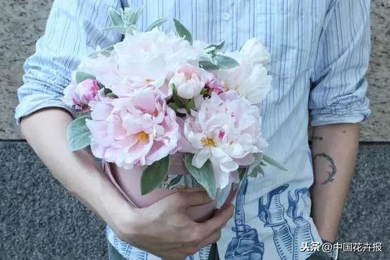 除了康乃馨，母亲节送给妈妈的花还有很多，这篇文章告诉你！