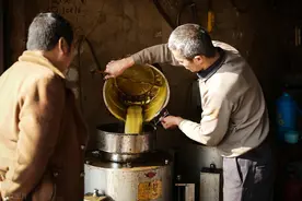 油坊免费为农民榨油，菜籽饼却要留下，有什么用？老板：我有妙招图片