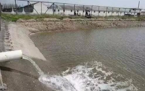 养鱼虾这么多年，这些进水细节你未必知道，必读