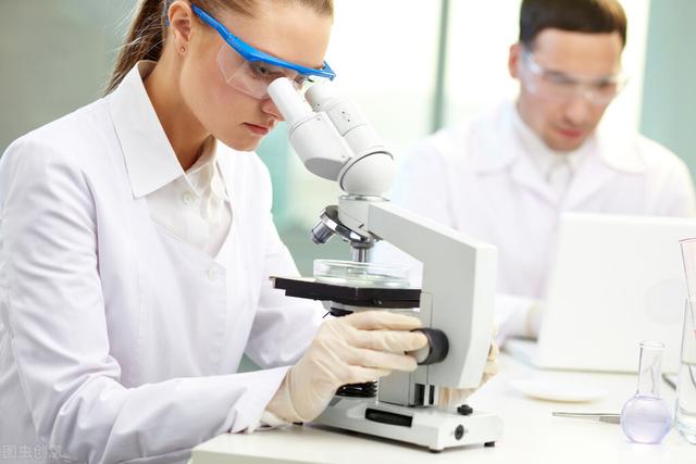 海参的作用与功效 2026年海参的作用与功效 正确食用方法