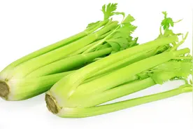 芹菜纤维多、口感差？栽培上做好3点，可提高品质与价格图片