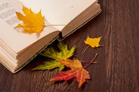 观人于微，识人并没有那么难图片