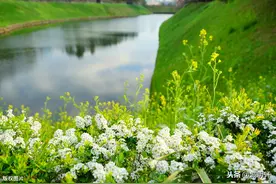 自由，并非自私，而是依据自己的良知做事图片