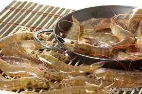 买虾时，不要只看价格，老渔民：牢记3招，一挑一个准图片