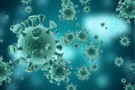 最新提醒：四代感染者出现！四代如何划分？如何避免病毒派对？图片