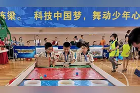 南宁市盘古路小学被评为全国青少年人工智能活动特色单位图片