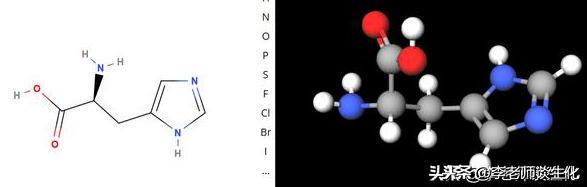 为什么组氨酸既是芳香族氨基酸，又是杂环氨基酸