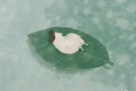 日本插画师Akira kusaka的创意肌理插画图片