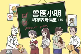 猫咪喜欢抢镜，但想和它正儿八经合照一张却很难，有啥技巧吗？图片