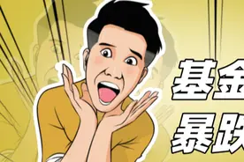 债券基金净值一天暴跌6%？你需要一份债券基金踩雷避坑指南图片