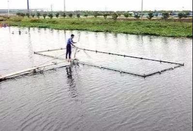 养鱼虾这么多年，这些进水细节你未必知道，必读