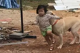 狗狗跟着女儿一起跑，以为没啥问题，隔了会却有些心疼了图片