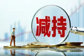 立思辰变形记：走向大语文，进一步IP化，双头共治图片