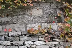 独访！徐州保存规模较大的古村落，600多年历史，9成徐州人不知道图片