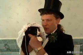 39岁男子娶15岁母猫为妻，只因爱猫成痴欲罢不能，爱得太深图片