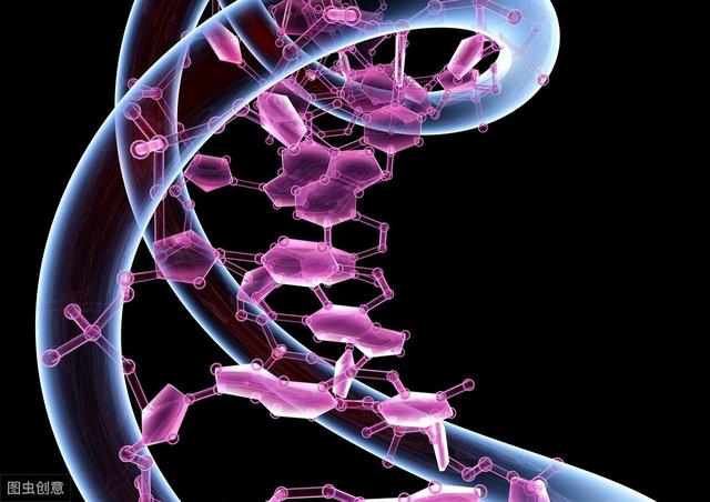 主管药师基础知识-生物化学2-核酸的结构与功能