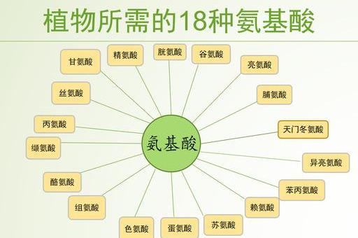 18种氨基酸在植物体内的作用，植物为什么需要这18种氨基酸呢？
