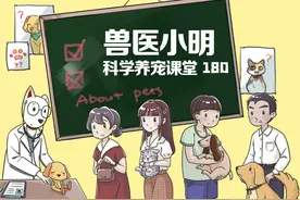 猫咪不可以带出门遛弯？注意到一些事项的话，也不是绝对的图片