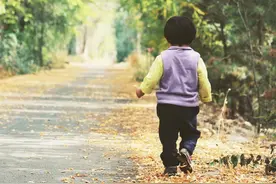 《目送》：有些路啊，只能一个人走图片