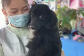 狗狗洗澡扭头寻找主人，铲屎官却跑了，汪：最终还是我错付了图片