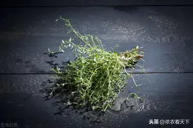 百里香，被我们用了2000年的香料，却在近20年才被规模种植图片