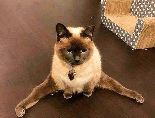 "劈腿"是什么意思,发源于台湾,流行于整个华人界,它已经成了感情出轨