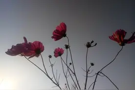 想太多，就是折磨自己图片