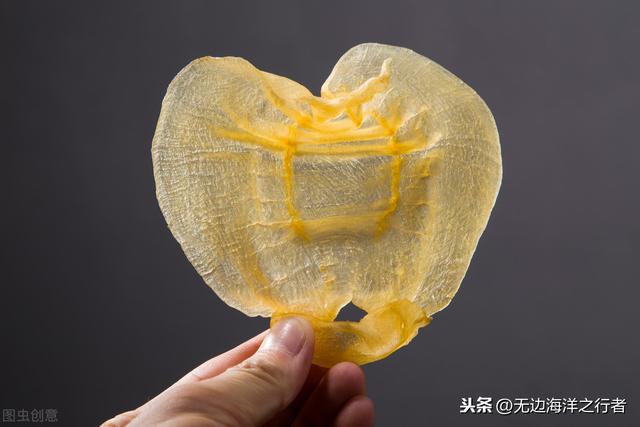 石斑鱼鱼胶好还是黄花鱼鱼效果好 2026年石斑鱼胶和花胶区别