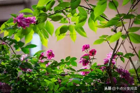 业精于勤而荒于嬉图片