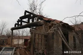 刚过秋分，农村路上出现十几条小蛇，为啥？老农：“蛇上朝”图片