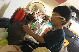 猫咪带娃会如何？暹罗猫现身说法：在多重身份中转换，很是心酸图片