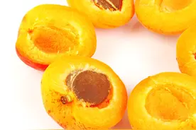 中国最好吃的杏在哪？图片