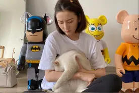 宋祖儿晒撸猫照，与猫互动动作亲昵，宋祖儿的猫成网友羡慕对象图片