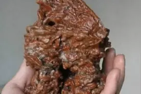 农民为盖房上山找石头，意外发现“罕见奇石”，发现自己捡到了宝图片