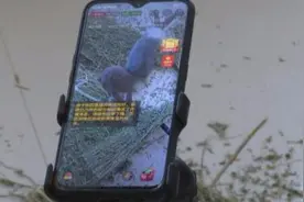 小兔子直播带货 南开区助力环县脱贫爆款频出图片