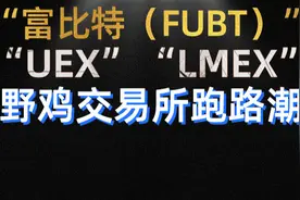 曝光：富比特（FUBT）、“UEX”、“LMEX”，交易所纷纷跑路图片