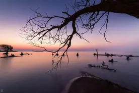 夜读 | 子夜，黑暗而期待光明的夜图片