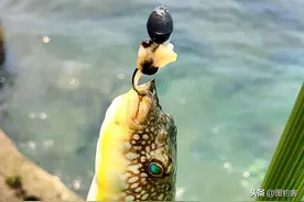 铅坠：形态各异，作用容易被忽视，从4种典型钓法谈怎样用好铅坠图片