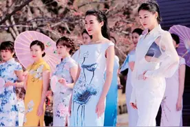 信号山、小青岛、小鱼山三个景区免费开放15天，最美赏花季等您来图片