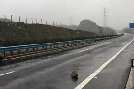 高速上行驶中，突遇石块是躲还是撞？交警：再说最后一次，记好图片