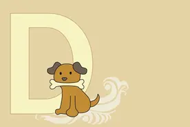 辅音字母d的含义我们常见却常常忽略图片