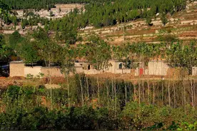 大田地、自留地、宅基地、拾边地、废地，义地，学地，农村地名图片