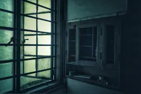 以案说法 | 家长携带小孩进“鬼屋”被吓死责任谁担？图片